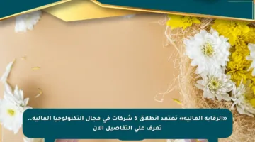 «الرقابة المالية» تعتمد انطلاق 5 شركات في مجال التكنولوجيا المالية.. تعرف على التفاصيل الآن